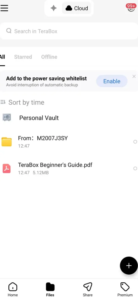 Terabox pro apk personal vault