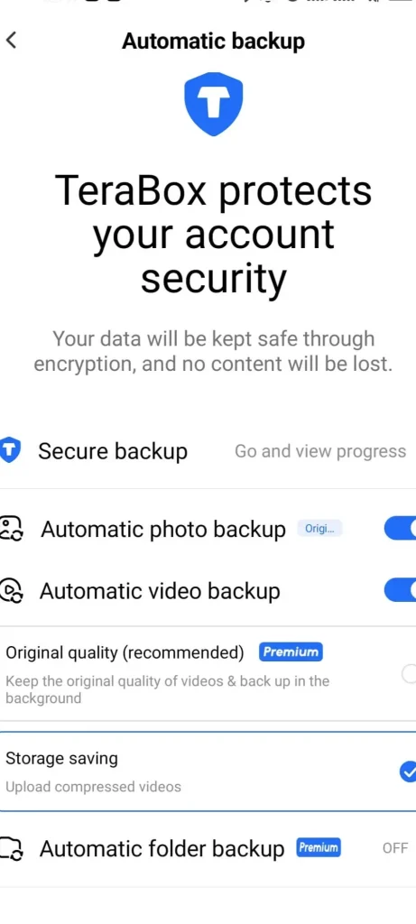 Terabox account security